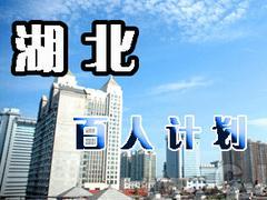 湖北百人计划代理代办服务全解析 一站式解决方案助您高效引才