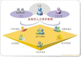 上海专业人力资源服务 全方位解析劳务派遣、免费中介与人事代理